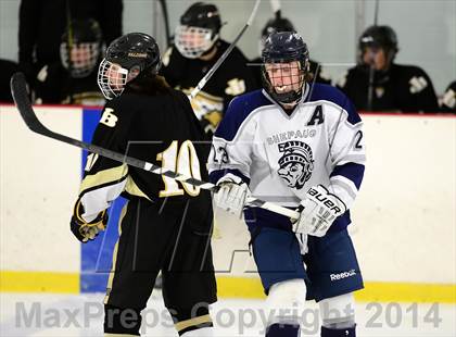 Thumbnail 3 in Joel Barlow @ Shepaug/Litchfield/Nonnewaug photogallery.