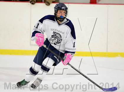 Thumbnail 1 in Joel Barlow @ Shepaug/Litchfield/Nonnewaug photogallery.