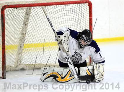 Thumbnail 3 in Joel Barlow @ Shepaug/Litchfield/Nonnewaug photogallery.