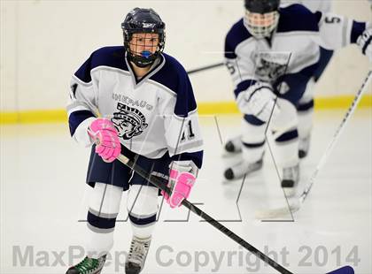 Thumbnail 3 in Joel Barlow @ Shepaug/Litchfield/Nonnewaug photogallery.