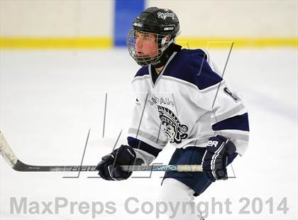 Thumbnail 3 in Joel Barlow @ Shepaug/Litchfield/Nonnewaug photogallery.