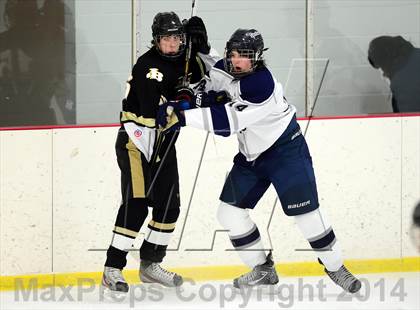 Thumbnail 3 in Joel Barlow @ Shepaug/Litchfield/Nonnewaug photogallery.
