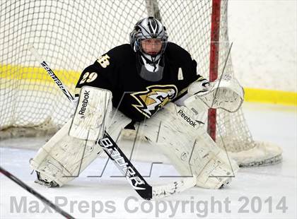 Thumbnail 3 in Joel Barlow @ Shepaug/Litchfield/Nonnewaug photogallery.