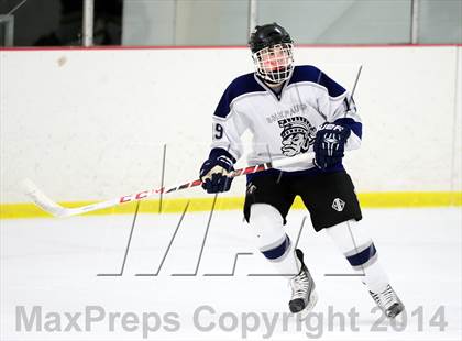Thumbnail 3 in Joel Barlow @ Shepaug/Litchfield/Nonnewaug photogallery.