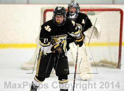 Thumbnail 1 in Joel Barlow @ Shepaug/Litchfield/Nonnewaug photogallery.