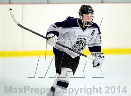 Thumbnail 3 in Joel Barlow @ Shepaug/Litchfield/Nonnewaug photogallery.