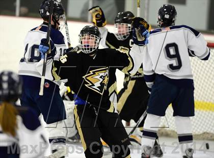 Thumbnail 3 in Joel Barlow @ Shepaug/Litchfield/Nonnewaug photogallery.