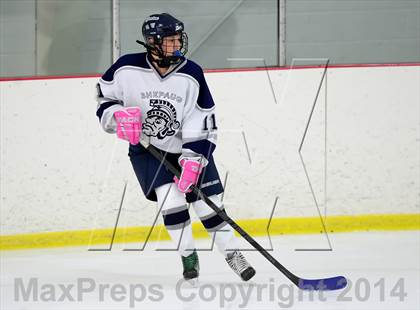 Thumbnail 1 in Joel Barlow @ Shepaug/Litchfield/Nonnewaug photogallery.