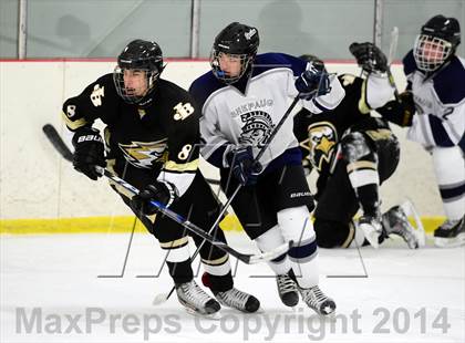 Thumbnail 2 in Joel Barlow @ Shepaug/Litchfield/Nonnewaug photogallery.