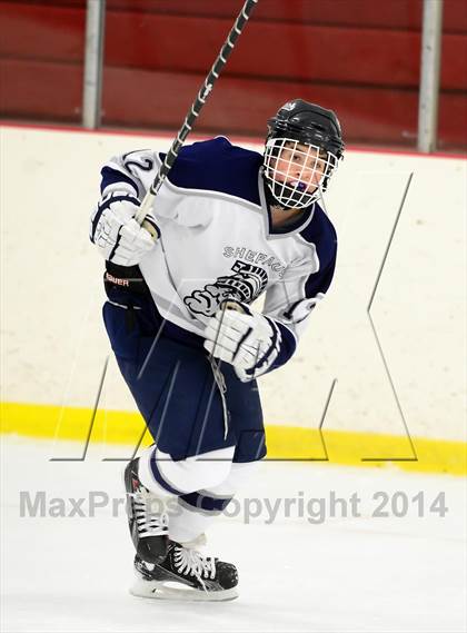 Thumbnail 2 in Joel Barlow @ Shepaug/Litchfield/Nonnewaug photogallery.