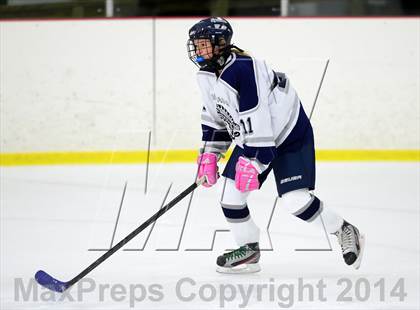 Thumbnail 2 in Joel Barlow @ Shepaug/Litchfield/Nonnewaug photogallery.