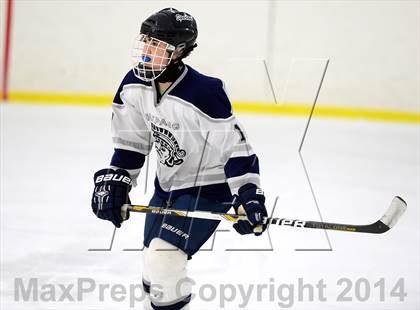 Thumbnail 1 in Joel Barlow @ Shepaug/Litchfield/Nonnewaug photogallery.