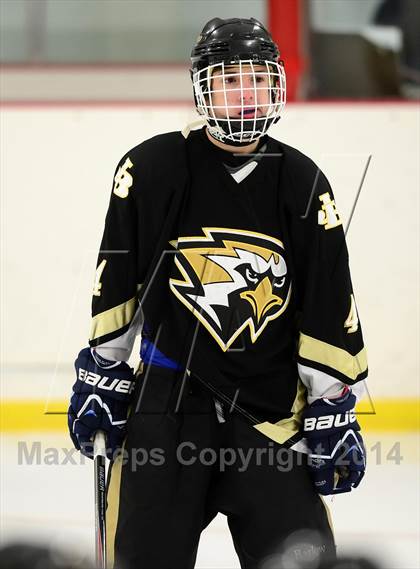 Thumbnail 3 in Joel Barlow @ Shepaug/Litchfield/Nonnewaug photogallery.