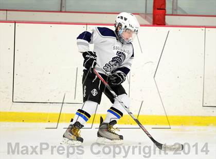Thumbnail 1 in Joel Barlow @ Shepaug/Litchfield/Nonnewaug photogallery.