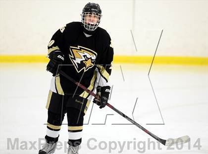 Thumbnail 1 in Joel Barlow @ Shepaug/Litchfield/Nonnewaug photogallery.