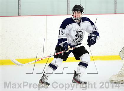 Thumbnail 1 in Joel Barlow @ Shepaug/Litchfield/Nonnewaug photogallery.