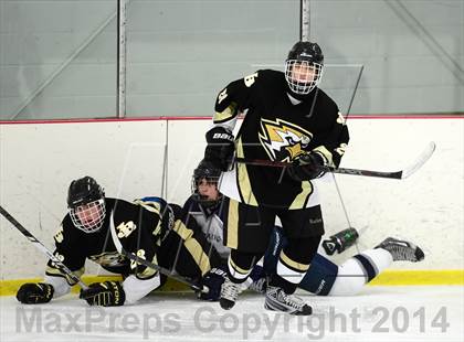 Thumbnail 3 in Joel Barlow @ Shepaug/Litchfield/Nonnewaug photogallery.