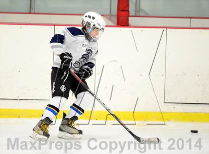 Thumbnail 2 in Joel Barlow @ Shepaug/Litchfield/Nonnewaug photogallery.