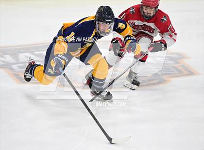 Thumbnail 1 in East Haven vs. Cheshire (CIAC DII Final) photogallery.