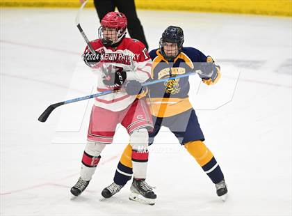 Thumbnail 1 in East Haven vs. Cheshire (CIAC DII Final) photogallery.