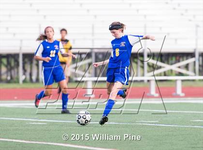 Thumbnail 3 in Washingtonville @ Kingston photogallery.