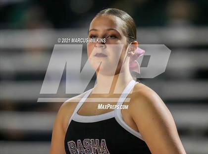 Thumbnail 3 in Basha @ Highland photogallery.