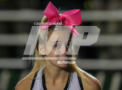 Thumbnail 3 in Basha @ Highland photogallery.