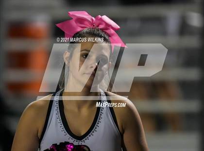 Thumbnail 2 in Basha @ Highland photogallery.