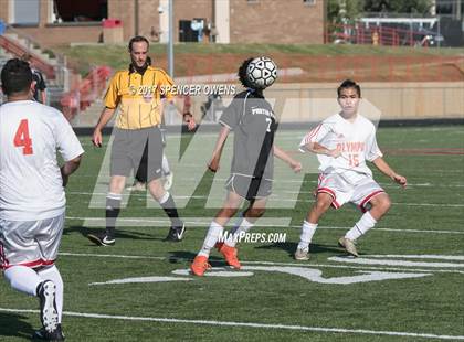 Thumbnail 3 in Porter Ridge @ Olympic photogallery.