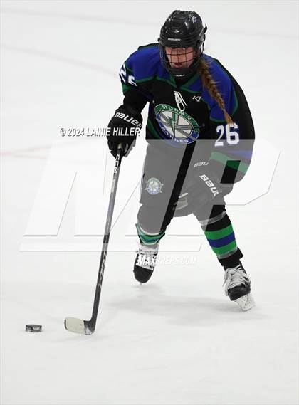 Thumbnail 2 in Sartell-St. Stephen @ Bemidji photogallery.