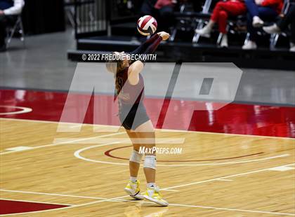 Thumbnail 3 in Dripping Springs vs. Tompkins (UIL 6A Final) photogallery.