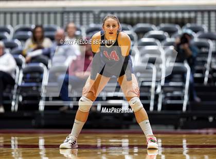 Thumbnail 1 in Dripping Springs vs. Tompkins (UIL 6A Final) photogallery.