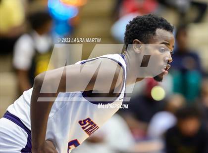 Thumbnail 1 in Nova @ Stranahan photogallery.