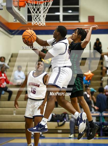 Thumbnail 2 in Nova @ Stranahan photogallery.