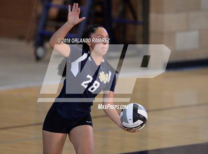 Thumbnail 3 in Patrick Henry @ Mater Dei Catholic photogallery.