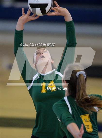 Thumbnail 1 in Patrick Henry @ Mater Dei Catholic photogallery.