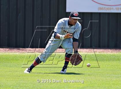 Thumbnail 1 in Blackman @ Bearden photogallery.