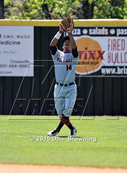 Thumbnail 2 in Blackman @ Bearden photogallery.