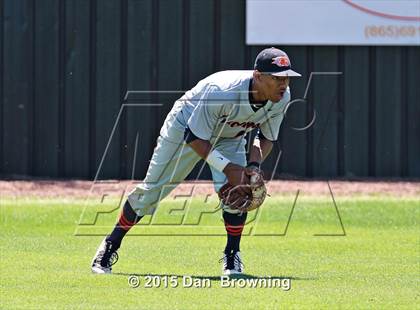 Thumbnail 2 in Blackman @ Bearden photogallery.