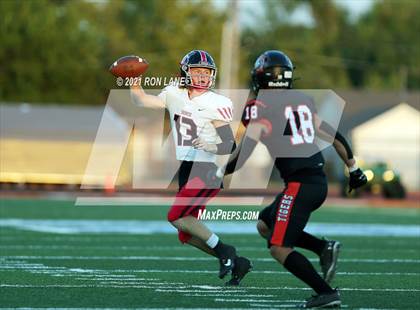 Thumbnail 3 in Mustang @ Norman photogallery.