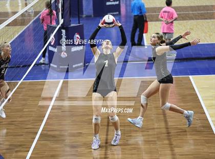 Thumbnail 3 in Battle Mountain vs. Mead (CHSAA 4A First Round) photogallery.