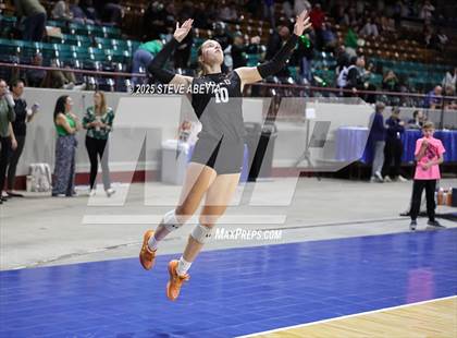 Thumbnail 2 in Battle Mountain vs. Mead (CHSAA 4A First Round) photogallery.