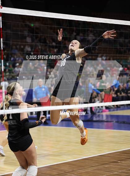 Thumbnail 2 in Battle Mountain vs. Mead (CHSAA 4A First Round) photogallery.