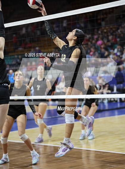 Thumbnail 2 in Battle Mountain vs. Mead (CHSAA 4A First Round) photogallery.