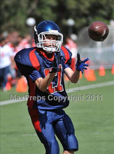 null - Photo 31