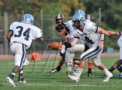 Thumbnail 2 in Suffern @ White Plains photogallery.