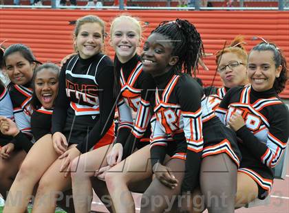 Thumbnail 2 in Suffern @ White Plains photogallery.