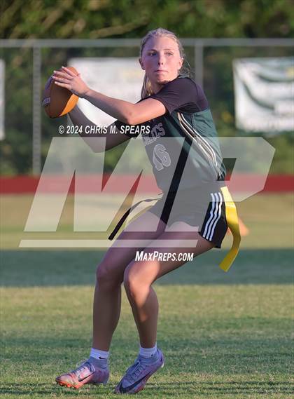 Thumbnail 2 in Belleview @ Trinity Catholic photogallery.