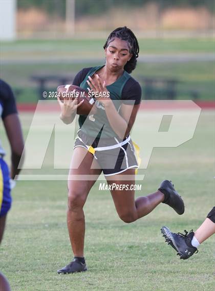 Thumbnail 1 in Belleview @ Trinity Catholic photogallery.