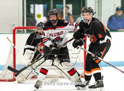 Thumbnail 2 in Oliver Ames @ Wellesley photogallery.